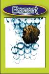 couverture de Bazart n&deg;29